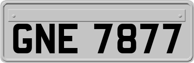 GNE7877