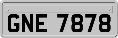 GNE7878