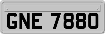 GNE7880
