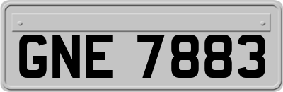 GNE7883