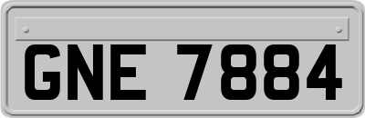 GNE7884