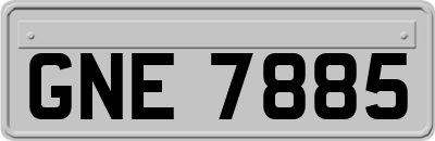 GNE7885