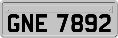 GNE7892
