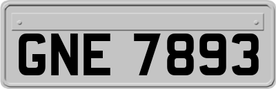 GNE7893