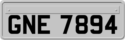 GNE7894