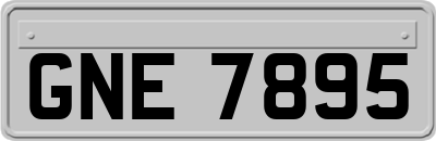 GNE7895