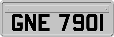 GNE7901