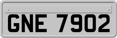 GNE7902
