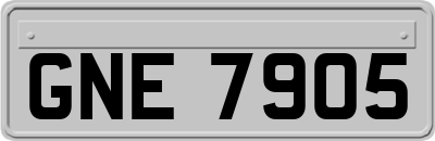 GNE7905