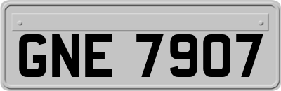 GNE7907