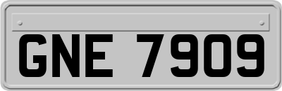 GNE7909