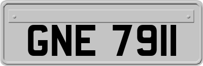 GNE7911
