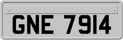 GNE7914