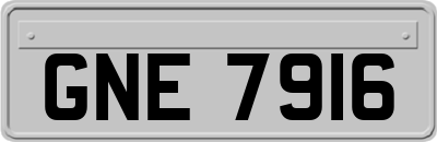 GNE7916