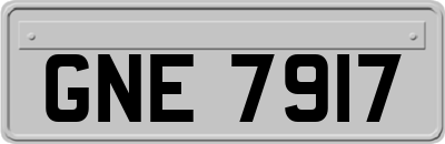 GNE7917