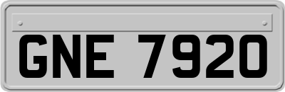 GNE7920