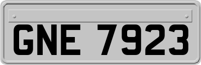 GNE7923