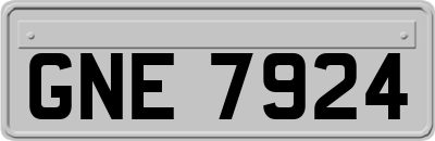 GNE7924