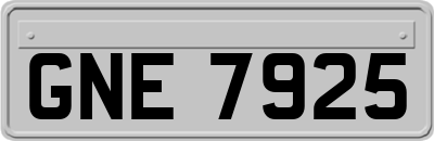 GNE7925
