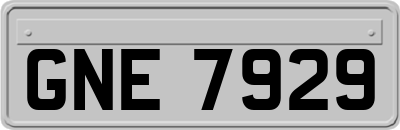GNE7929