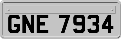 GNE7934