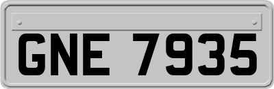 GNE7935