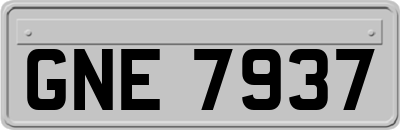 GNE7937