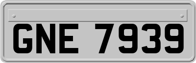 GNE7939