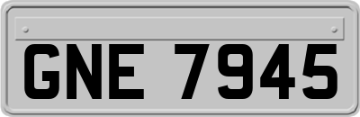 GNE7945