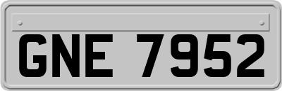 GNE7952