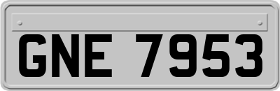 GNE7953