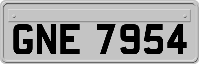 GNE7954