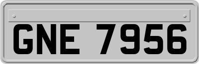 GNE7956