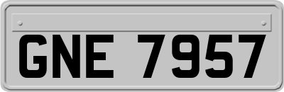 GNE7957