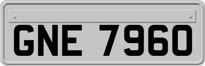 GNE7960