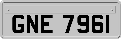GNE7961