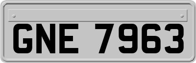 GNE7963