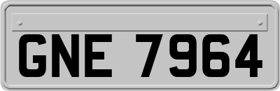 GNE7964