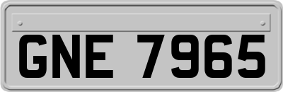 GNE7965