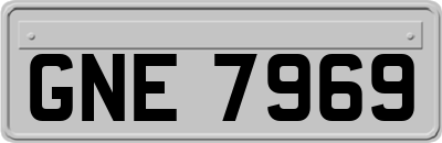 GNE7969