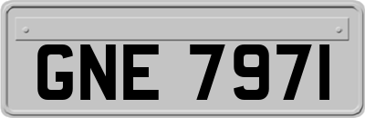 GNE7971