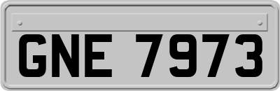 GNE7973