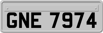 GNE7974