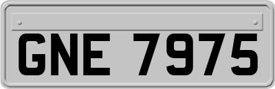 GNE7975
