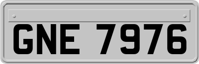 GNE7976