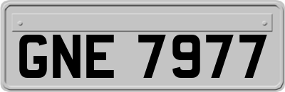 GNE7977