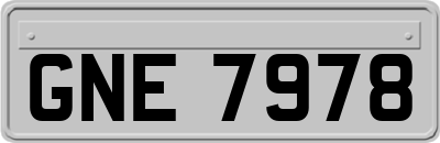 GNE7978