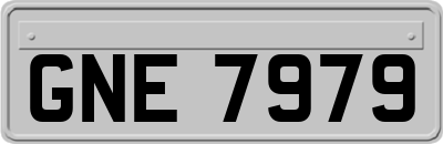 GNE7979