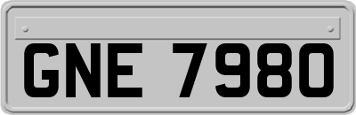 GNE7980