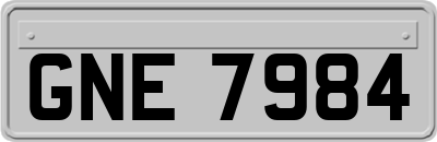 GNE7984